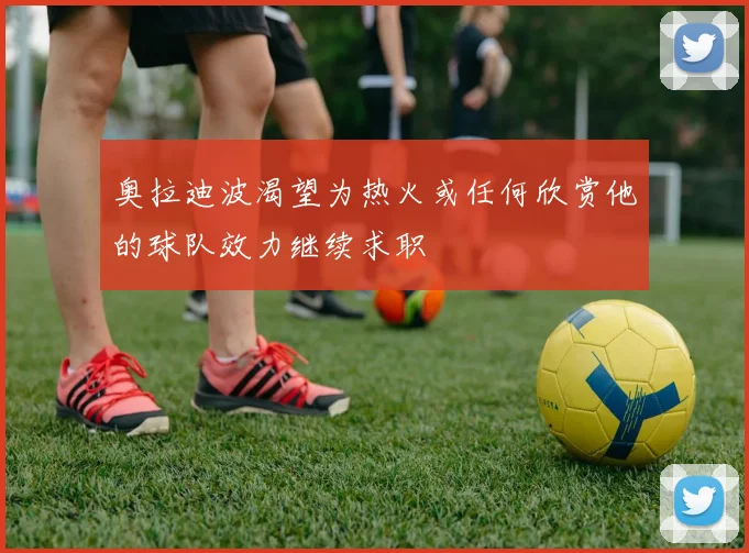 奥拉迪波渴望为热火或任何欣赏他的球队效力继续求职